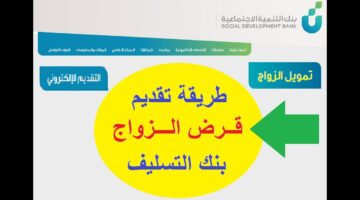 وزارة المالية توضح القروض من بنك التسليف واهم الضوابط التي وضعتها
