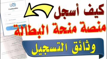 وزارة المالية توضح شروط الحصول على منحة البطالة والأوراق المطلوبة