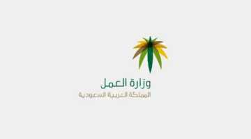 توطين المهن الهندسية والفنية في المملكة العربية السعودية