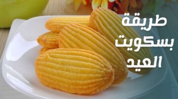 طريقة عمل بسكوت العيد بدون مكنة بأقل التكاليف وبمكونات بسيطة