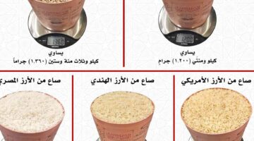 مقدار زكاة الفطر للفرد كيفية حسابها ووقت إخرجها ومن مستحقيها