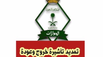 وزراة الخارجية بالمملكة توضع رسوم للوافدين لتاشيرة الخروج والعودة للبلاد