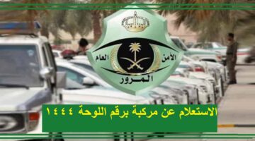 المملكة العربية السعودية تتيح للمواطنين خدمة الاستعلام عن حجز المركبات