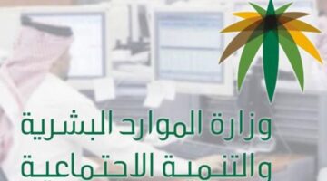 وزارة العمل توضح الاستعلام عن عامل وافد عبر ابشر واهم البيانات المطلوبة