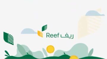 رابط بوابة ريف تسجيل الدخول للأفراد وربات البيوت وشروط الالتحاق بها