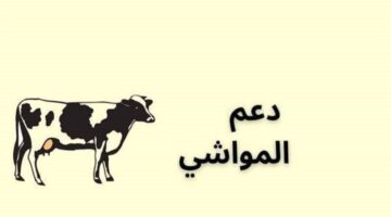 ما هو رقم دعم المواشي الموحد "وزارة البيئة والمياه والزراعة" تجيب