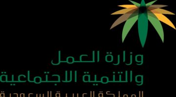 كيف تتم خطوات مكتب العمل استعلام عن وافد؟ .. "وزارة العمل السعودية" تجيب