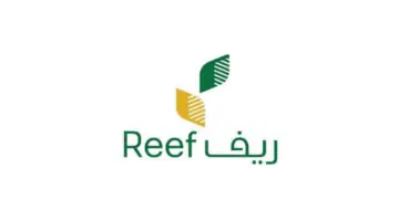 تعرف على طريقة تسجيل دخول ريف وما هي أهم شروط التسجيل في البرنامج