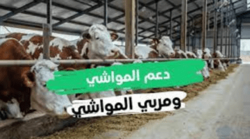 "وزارة البيئة والمياه والزراعة" تكشف عن متي ينزل دعم المواشي وشروط استحقاقه؟