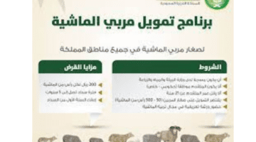 ما هي شروط الحصول على دعم صغار مربي المواشي وأسباب إيقاف الدعم؟