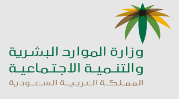 ما هي خطوات ورابط استعلام الضمان المطور وشروط استحقاق الراتب