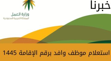 تعرف على خطوات استعلام موظف وافد برقم الإقامة 1445 وكيفية نقل كفالة بدون موافقة الكفيل