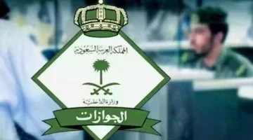 "المديرية العامة للجوازات" تقوم باستعراض جهاز التوأمة الرقمية في المنافذ