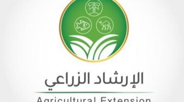 مزايا الزراعة المائية في المملكة وتقليل الهدر في المرتبة الأولى