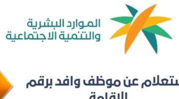 الإدارة العامة للجوازات تتيح خدمة استعلام عن وافد برقم الجواز الكترونيًا