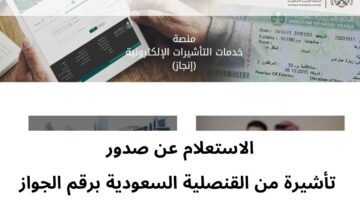 "وزارة الخارجية السعودية" توضح ما هي خطوات الإستعلام عن التاشيرة برقم الجواز؟