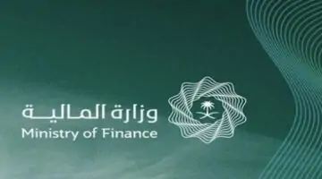 ماهو المطلوب لرفع مسوغات صرف العوائد السنوية .. وطريقة التقديم عليها عبر موقع وزارة المالية؟