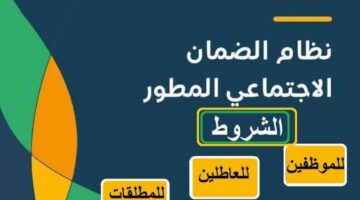 ‏كم يبلغ معاش الضمان للمطلقات‏ وما هي شروط الاستحقاق؟