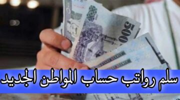 "وزارة الموارد البشرية" توضح.. سلم رواتب حساب المواطن الجديد 1445