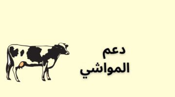 "وزارة البيئة والمياه والزراعة" توضح.. شروط دعم المواشي للنساء 1445