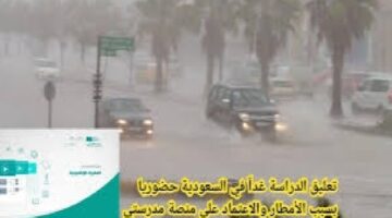 "إدارة التعليم" تمنع الحضور في مدارس جده وخليص ورابغ واستخدام التعليم عن بعد غداً لهذا السبب