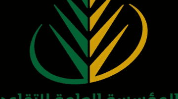 "التأمينات الإجتماعية" توضح سلم رواتب المتقاعدين الجديد ١٤٤٥