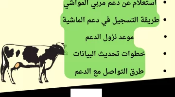 ما هي شروط دعم المواشي للنساء ١٤٤٥؟ وأهم خطوات التسجيل في البرنامج