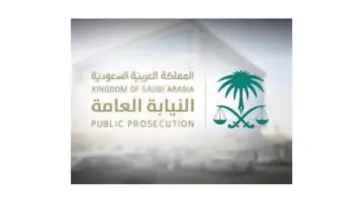 النيابة العامة تصدر تحذيرات للجميع حول ارتكاب الجرائم المنتشرة