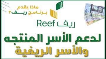 ما هي خطوات تسجيل برنامج ريف 1445؟... وشروط الحصول على الدعم ورابط التقديم reef.gov