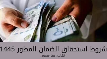ما هي شروط استحقاق الضمان المطور 1445 في السعودية؟... وزارة الموارد البشرية تكشف
