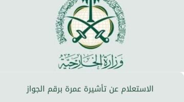 ما هي خطوات الاستعلام عن تأشيرة عمرة برقم الجواز من خلال منصة إنجاز ؟