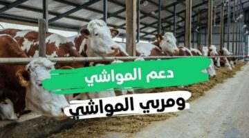 ما هي خطوات استعلام عن دعم المواشي النفاذ الوطني وشروط استحقاق الدعم؟ 