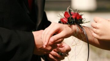 اليك مسارات السعادة السبعة ورابط تحميل الكتاب المباشر