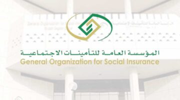 "المؤسسة العامة" توضح كيفية احتساب العمر في نظام التأمينات الاجتماعية