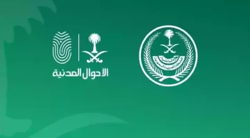 كيف اعرف تاريخ اصدار هويتي الجديدة بشكل إلكتروني؟ "وزارة الداخلية" تجيب