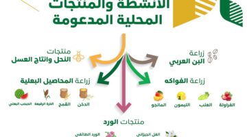 ما هي المحافظات المشمولة بدعم ريف.. وآلية التسجيل في البرنامج ؟