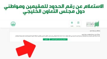 السلطات السعودية توضح خطوات الاستعلام عن رقم الحدود عبر أبشر 1445