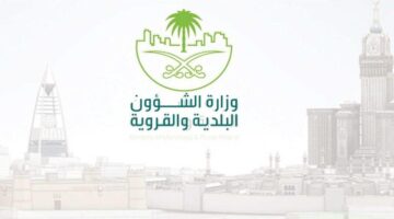 عاجل .. "الشؤون البلدية" تؤكد على ضرورة أتمتة جدول الجزاءات المحدث