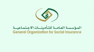 كيف يتم الاستعلام عن التأمينات الاجتماعية برقم الهوية 1445؟ .. "المؤسسة العامة" توضح