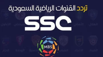 ما هو تردد قناة الكأس الرياضية 2024 على نايل سات وعرب سات؟