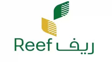 هل يشمل دعم برنامج ريف لمواطن لديه 33 خلية نحل أم لا؟