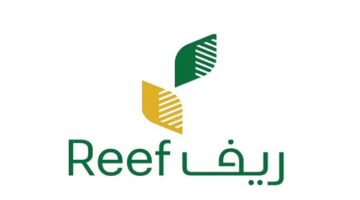 طريقة الاستعلام عن ريف وشروط استحقاقه وموعد نزول الدعم الريفي