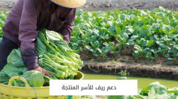 متى ينزل دعم ريف بعد قبول الأهلية 1445 وما خطوات التسجيل في البرنامج؟