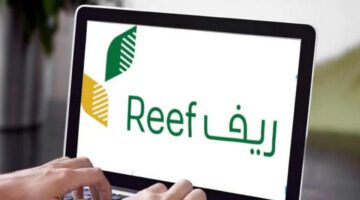 متي ينزل دعم المواشي الدفعة القادمة لشهر ديسمبر 2023؟ برنامج ريف يوضح