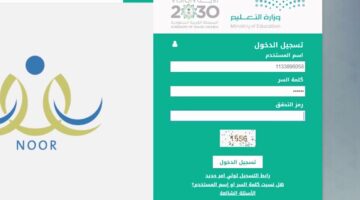 ما هي خطوات الاستعلام عن نتائج نظام نور برقم الهوية الوطنية؟
