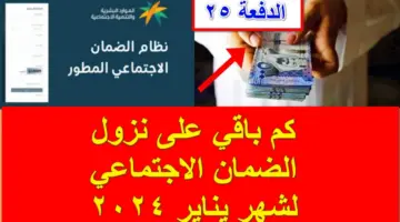 العد التنازلي.. كم باقي على نزول الضمان الاجتماعي الدفعة 25 لشهر يناير؟ الموارد البشرية تُجيب