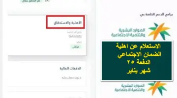 مُتاح.. رابط الاستعلام عن أهلية الضمان المطور الدفعة 25 لشهر يناير 2024 توضحه وزارة الموارد البشرية