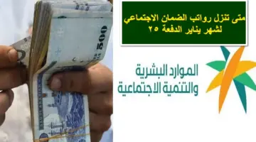 متى تنزل رواتب الضمان الاجتماعي لشهر يناير الدفعة 25 في حسابات المستفيدين؟.. وزارة الموارد تُجيب