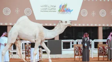 متى ينتهي مهرجان الملك عبد العزيز للابل 1445؟