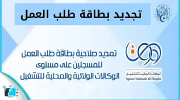 رسمياً رابط تجديد طلب العمل anem للتسجيل بمنحة البطالة والحصول على 15 ألف دينار
